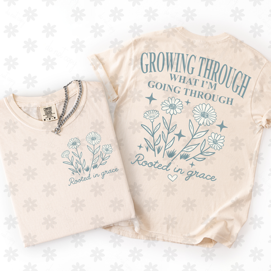 Growing - Transfer (DD)