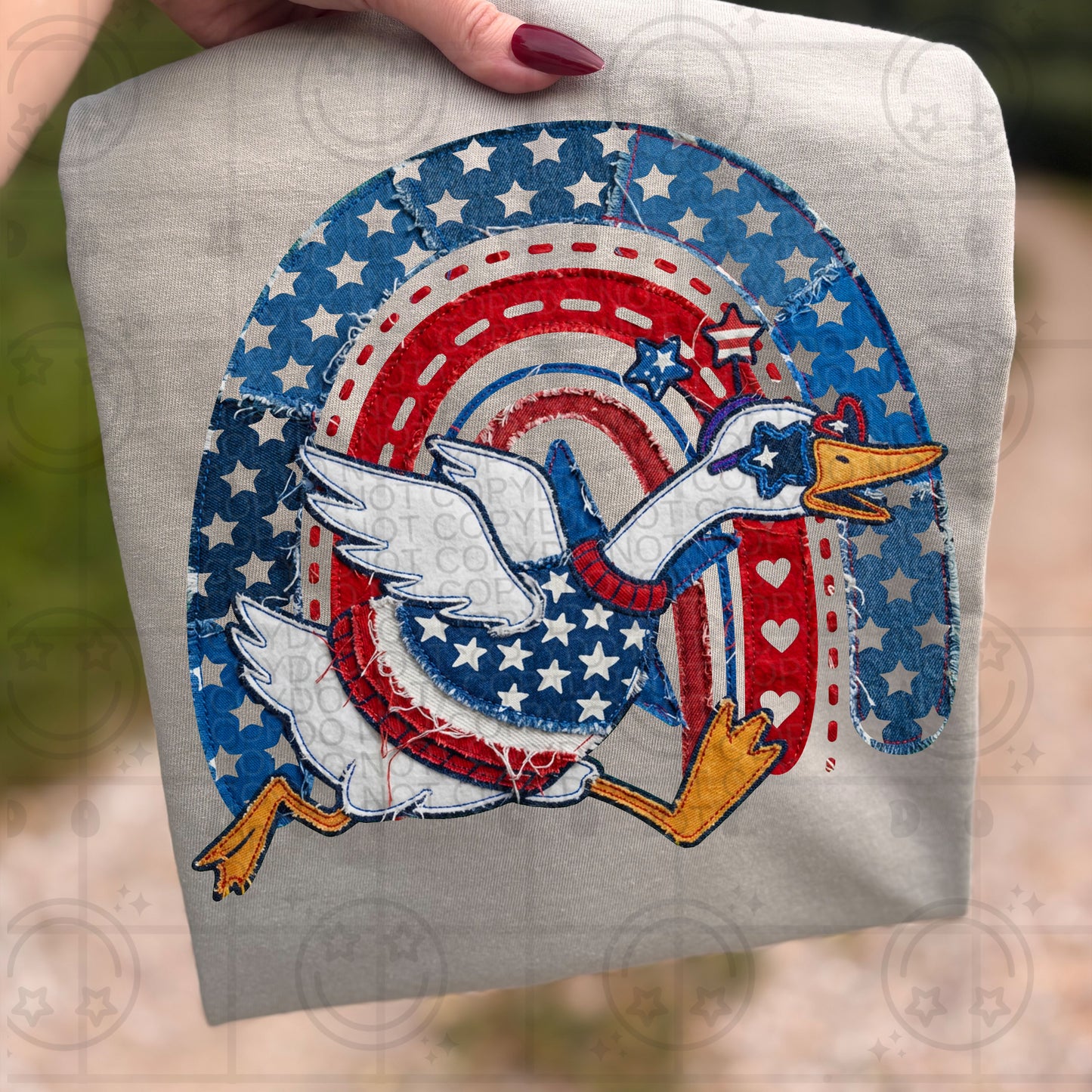 USA Rainbow Goose -  TRANSFER (HW)